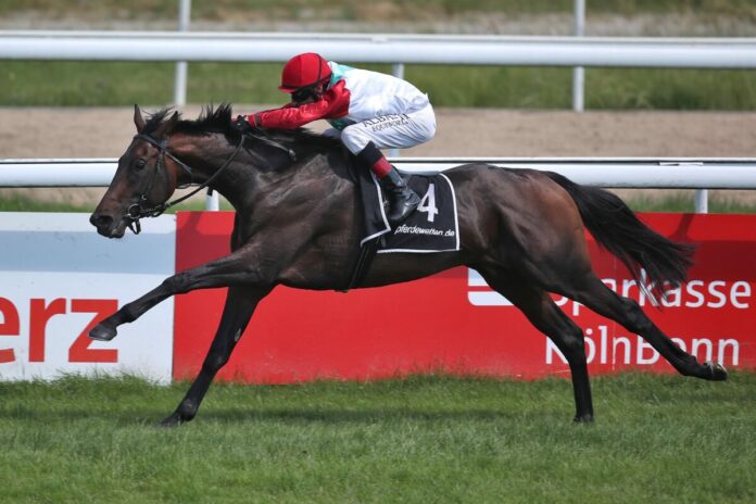 Lotterbov siegt unter Andrasch Starke