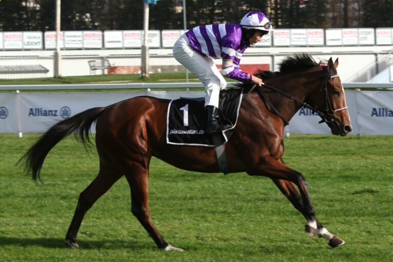 Peter Schiergens Principe Zweiter in der Quinte+