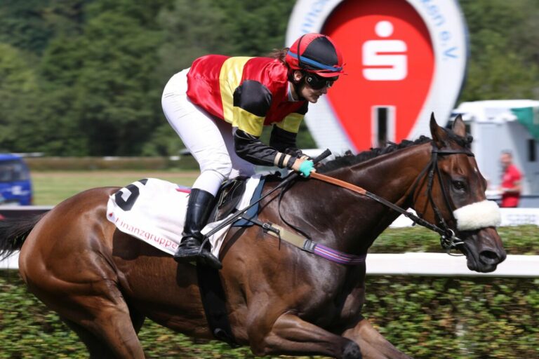 Bunte Karte am Sonntag in Saarbrücken