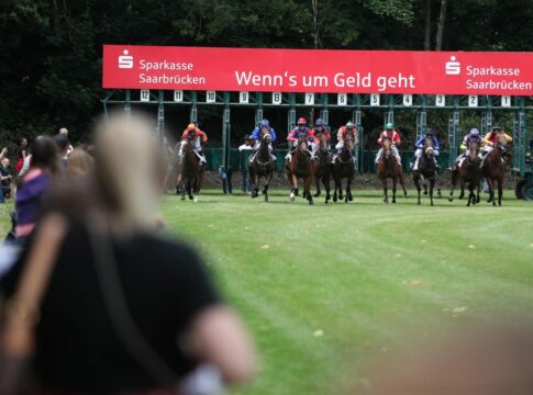 Galopp in Saarbrücken