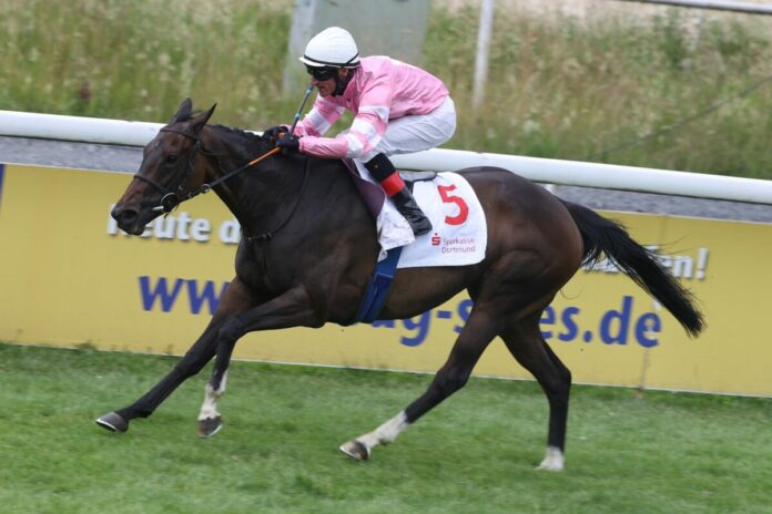Smartie siegt unter Andrasch Starke
