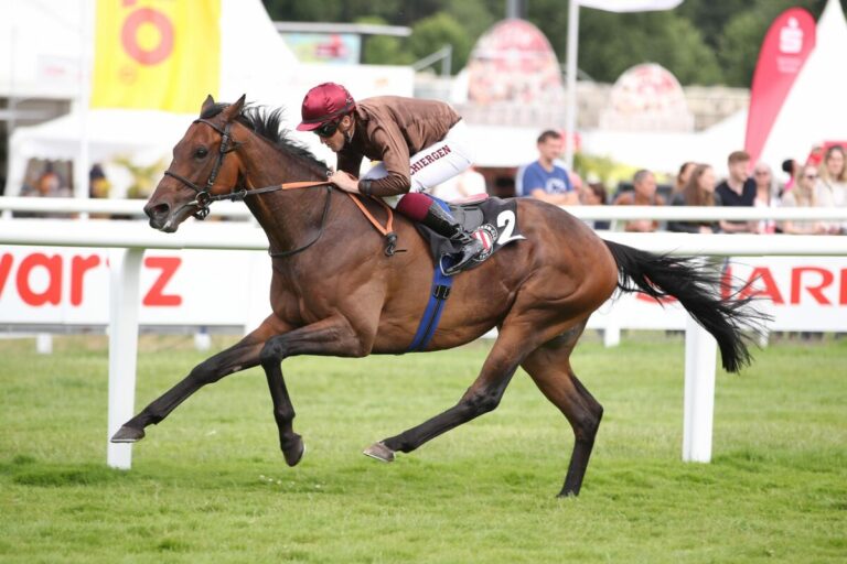 Nachnennung! Lord Charming rückt in den Preis der Deutschen Einheit