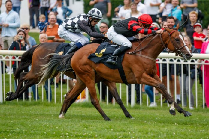 Ajandra siegt unter Wladinir Panov