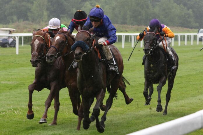 Assistent siegt unter Thore Hammer-Hansen