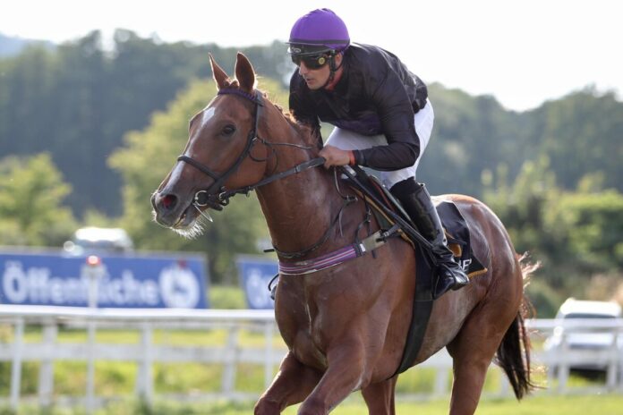 Cabot Cliffs (Archiv)