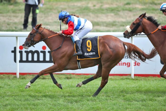 Blueridge Silver Blueridge Silver siegt unter Stefanie Koyuncu