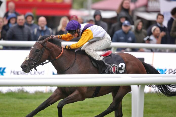 Dhara siegt unter Sibylle Vogt