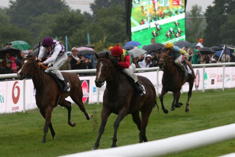 Black Type-Pferd Flotte Lotte im Ausgleich II erfolgreich
