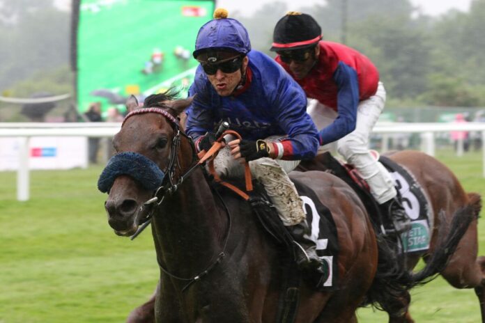 Assistent siegt unter Thore Hammer-Hansen im WETTSTAR.de Gro§er Hansa-Preis, Gr.2 Assistent siegt unter Thore Hammer-Hansen