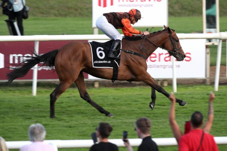 Reese, Panov und Primorosa legen nach