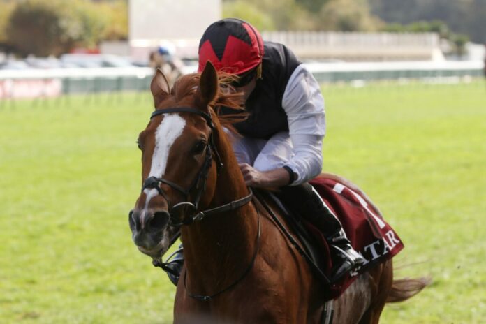 Kyprios siegt unter Ryan-Moore im Qatar Prix du Cadran Kyprios siegt unter Ryan-Moore im Qatar Prix du Cadran