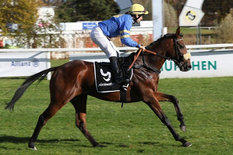 Dritter Renntag mit dem Fashion Outlet in Zweibrücken