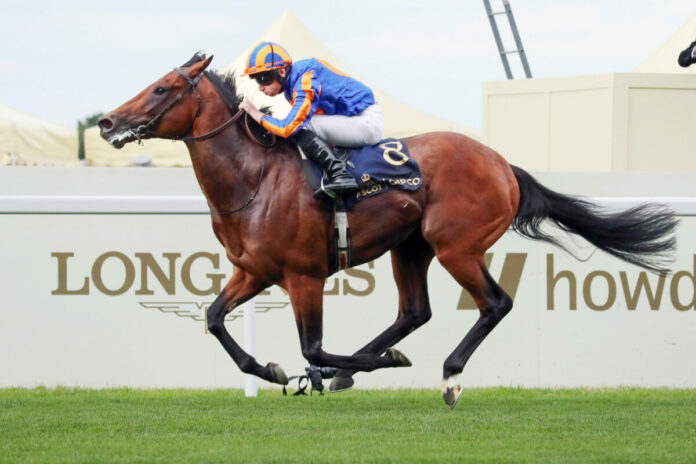 Paddington Foto: Sorge Paddington Foto: Sorge