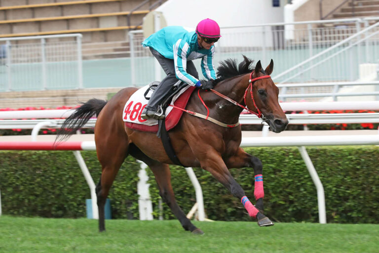 Romantic Warrior absolviert ein Trial unter Zac Purton Foto: hkjc.com