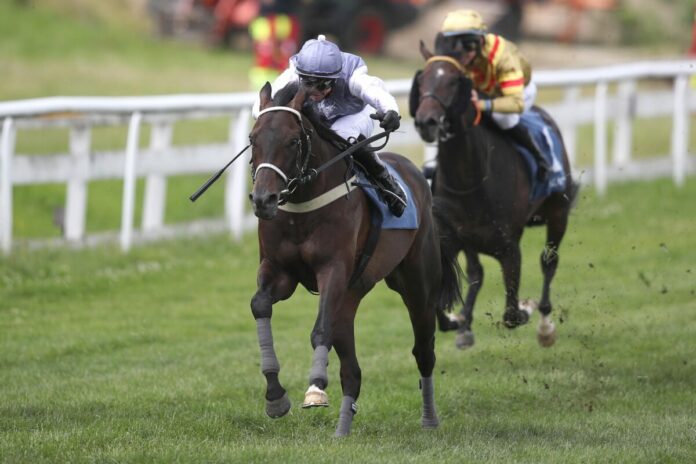 Sagamore siegt unter Miguel Lopez