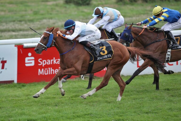 Sancho siegt unter Adrie de Vries