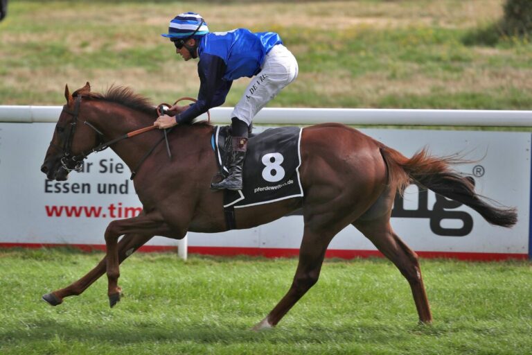 Schützenzauber siegt unter Adrie de Vries