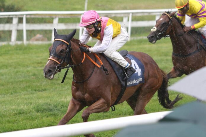 Sunny Star siegt unter Maike Riehl