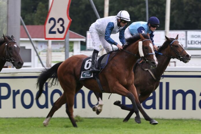 Westminster Night siegt unter Jozef Bojko