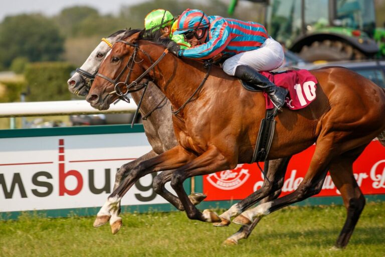 Familienrenntag im Scheibenholz – Iliano zum Dritten?