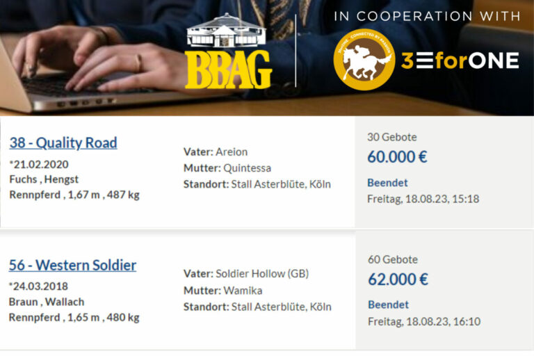 Die Auktionsbilanz des BBAG-Partners: 3forONE