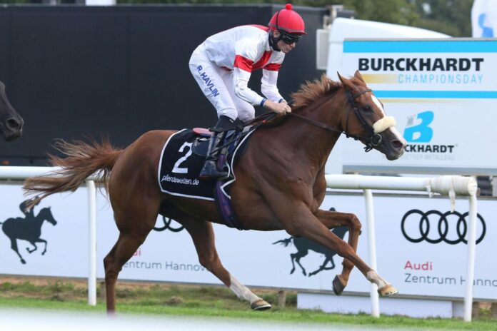 Ability siegt unter Robert Havlin im GP der Metallbau Burckhardt, L.