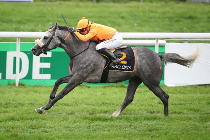 Abinioux siegt unter Esther Ruth Weißmeier