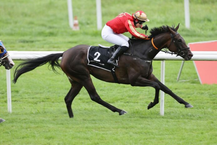 Adjö siegt unter Nina Baltromei Adjö siegt unter Nina Baltromei