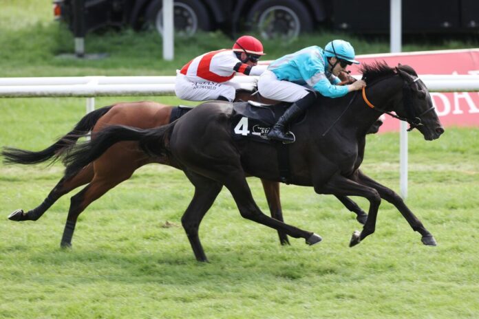 Alexei siegt uter Dastan Sabatbekov Alexei siegt uter Dastan Sabatbekov