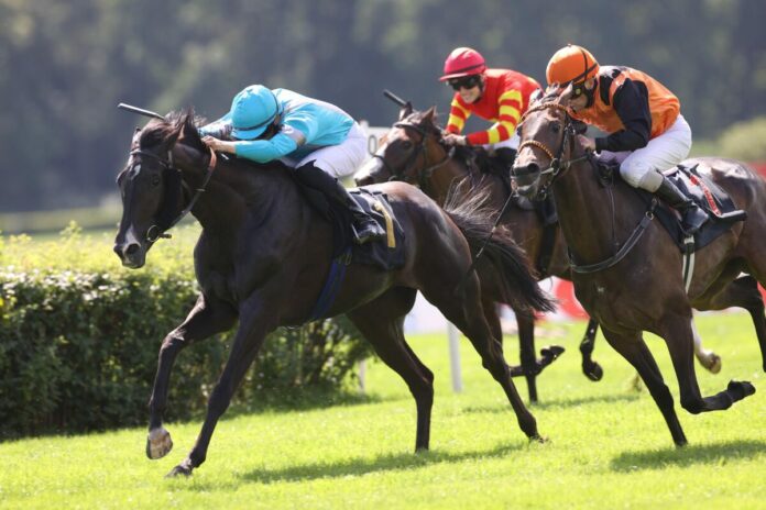 Alexei siegt unter Dastan Sabatbekov