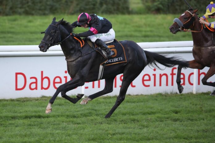 Belisaire siegt unter Miguel Lopez Belisaire siegt unter Miguel Lopez