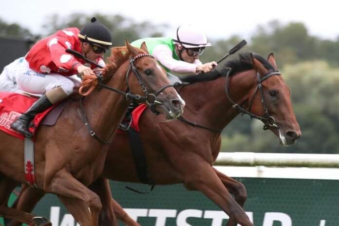 Borna siegt unter Rene Piechulek