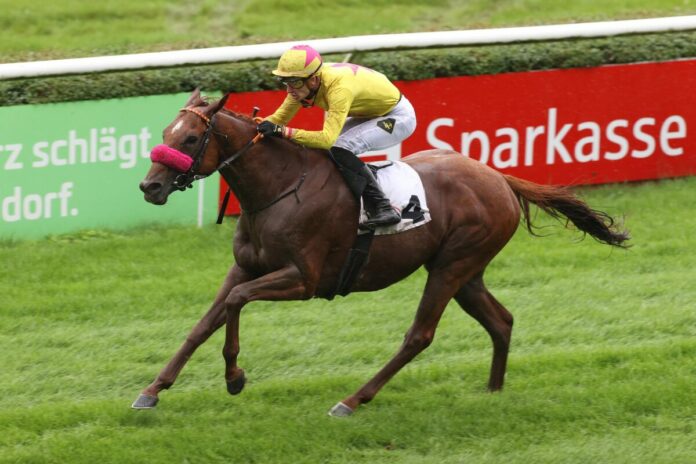 See Hector siegt unter Lukas Delozier im Fritz Henkel-Preis, Gr.3