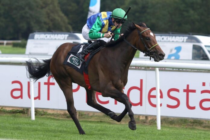 Flashy Arrow siegt unter Sean Byrne