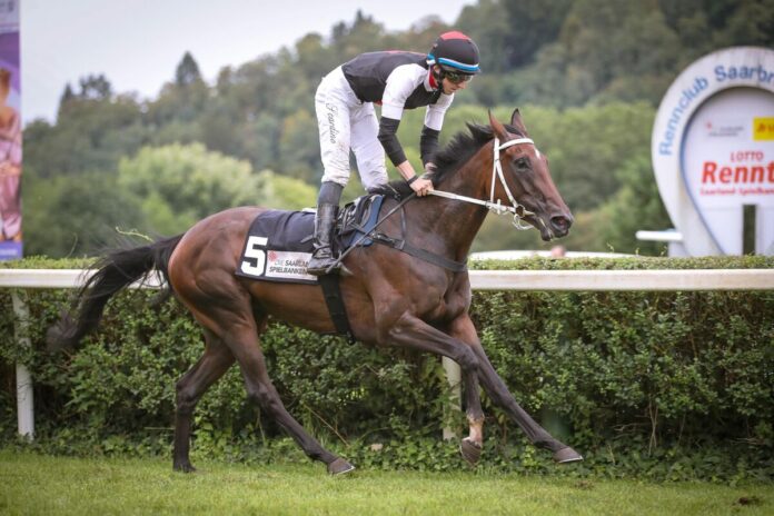 Gamine siegt unter Tommaso Scardino