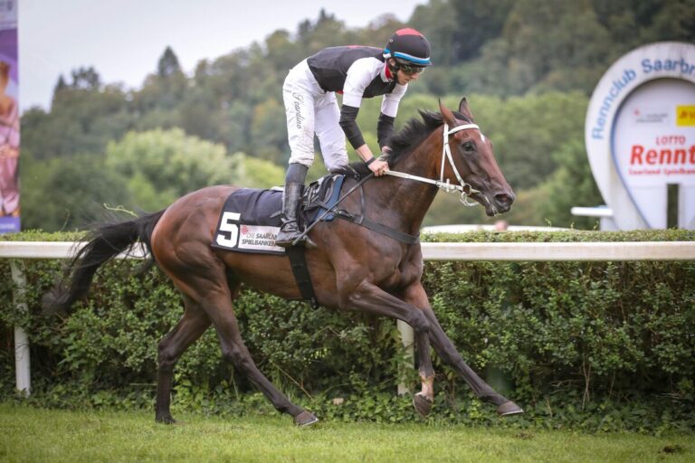 Gamine siegt unter Tommaso Scardino