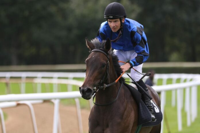 Saloon Sold siegt unter Adrie de Vries