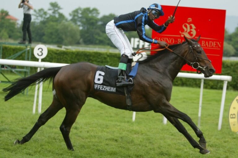 Schwelgen in Erinnerungen mit der Harald Schmidt-Show