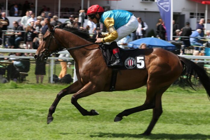 Kassada unter Andrasch Starke Kassada unter Andrasch Starke