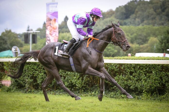 Kingdom Of Heaven Kingdom Of Heaven siegt unter Nora Cronauer