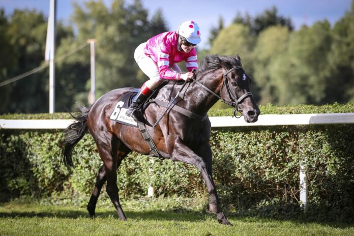 Liath Luacra Saarbrücken