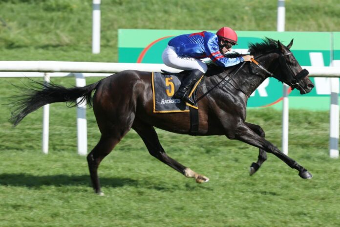 Limbo Dancer siegt unter Maxim Pecheur