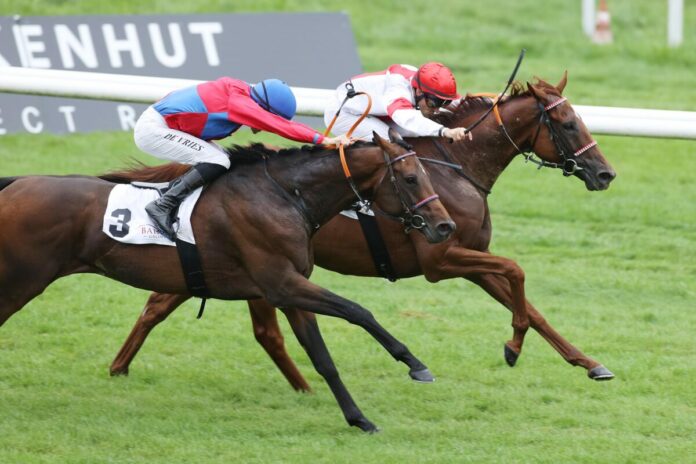 Lordano siegt unter Rene Piechulek im Baden-Badener Steher Cup Lordano siegt unter Rene Piechulek im Baden-Badener Steher Cup