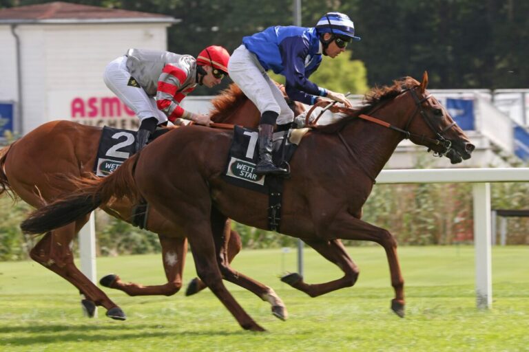 Schützenzauber wird seiner Favoritenrolle gerecht – Muss aber kämpfen