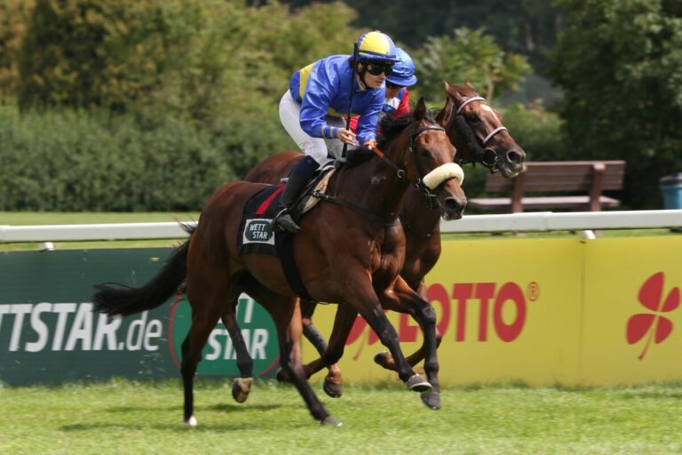 Favorisierter Navare gelingt der erste Sieg – Almenräder gibt das Ziel Black Type aus