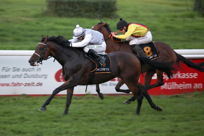 Magadan siegt unter Miguel Lopez Magadan siegt unter Miguel Lopez