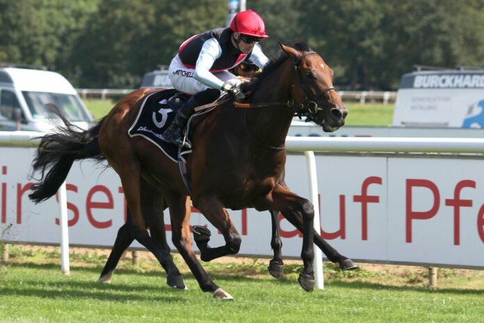 Maigret siegt unter Jack Mitchell