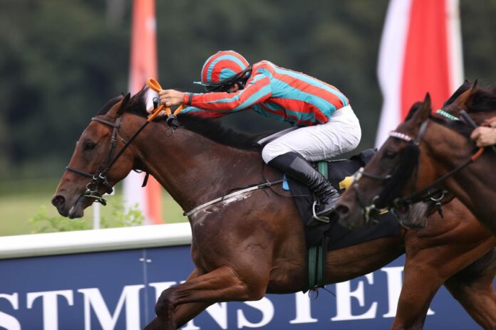 Manjaro siegt unter Maxim Pecheur Manjaro siegt unter Maxim Pecheur