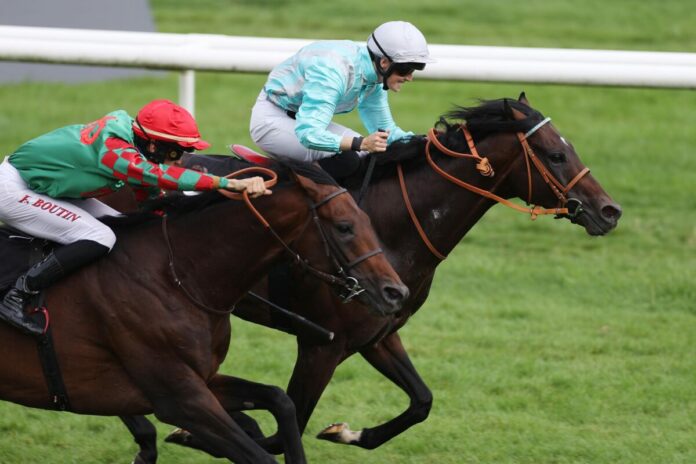 Mansour siegt unter Sybille Vogt im 68. Preis der Sparkassen-Finanzgruppe