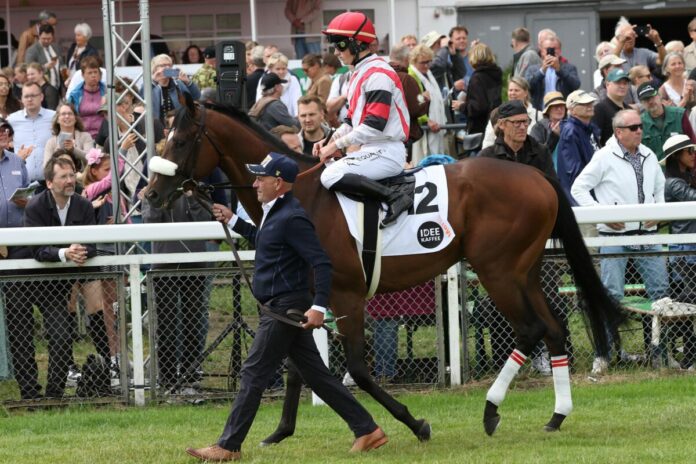 Merkur vor dem IDEE 154. Deutschen Derby Merkur vor dem IDEE 154. Deutschen Derby